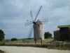 Alte Windmühle auf La Mola